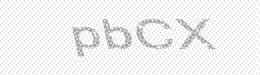 Visual security code — type the characters shown in the image